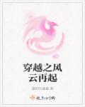 小说：穿越之风云再起，作者：最好的墨墨