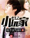 小说：重生之小玩家，作者：吹个大气球9