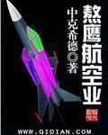 小说：熬鹰航空业，作者：中克希德