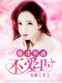小说：恨逢相遇不爱时，作者：荼蘼