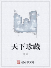 小说：天下珍藏，作者：烛