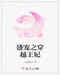 小说：盛宠之穿越王妃，作者：小童童笛