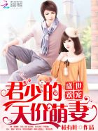 小说：盛世欢宠：君少的天价萌妻，作者：枝有叶