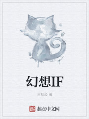 小说：幻想IF，作者：三相公