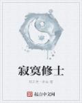小说：寂寞修士，作者：我只是一条虫