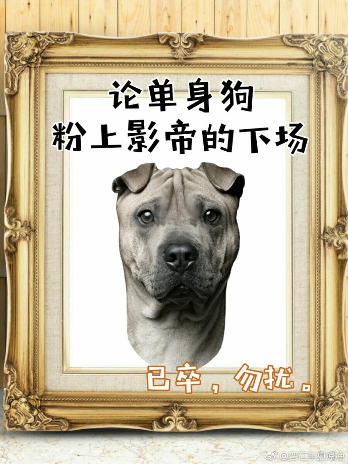 小说：影帝酷爱撒糖！，作者：半夏凉凉