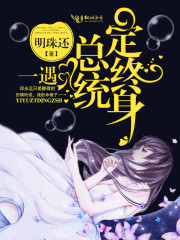 小说：一遇总统定终身，作者：明珠还