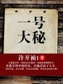 小说：一号大秘，作者：许开祯1