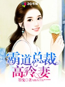 小说：霸道总裁高冷妻，作者：墨曳