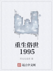 小说：重生俗世1995，作者：阿垃垃圾君