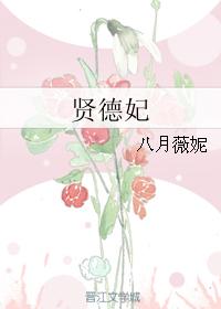 小说：贤德妃，作者：八月薇妮