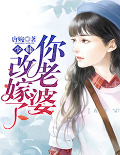 小说：少帅，你老婆改嫁了，作者：唐婉