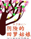 小说：阴险的田箩姑娘，作者：丸子汤小二