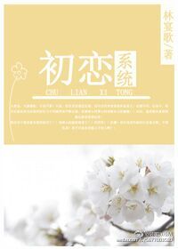小说：[韩]初恋系统，作者：林宴歌