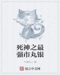 小说：死神之最强市丸银，作者：平静的人