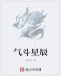 小说：气斗星辰，作者：夜青龙