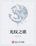 小说：光纹之歌，作者：中古石