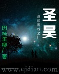 小说：命运游戏之圣昊，作者：因杨生柳