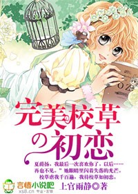 小说：完美校草的初恋，作者：上官雨静