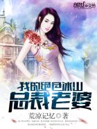 小说：我的绝色冰山总裁老婆，作者：荒凉记忆