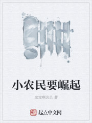 小说：小农民要崛起，作者：宝宝啊贝贝