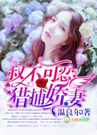 小说：叔不可忍，猎捕娇妻，作者：温良尔