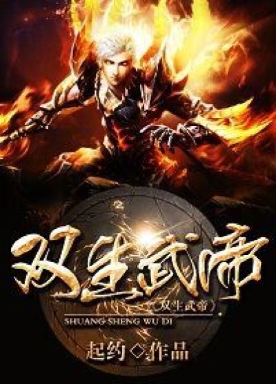 小说：双生武帝，作者：起约