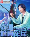 小说：霸道修真农民，作者：半路出家人