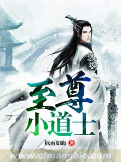 小说：至尊小道士，作者：枫雨如晦