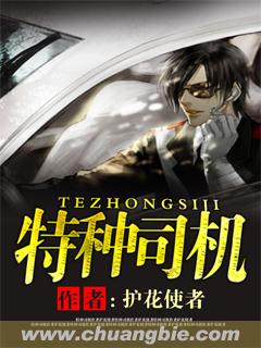 小说：特种司机，作者：护花使者