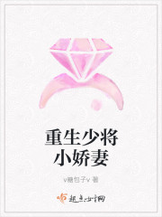 小说：重生少将小娇妻，作者：v糖包子v