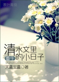 小说：重生清水文里的小日子，作者：天蓝宝蓝