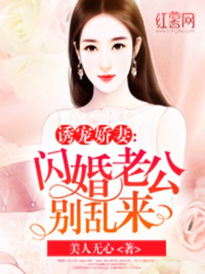 小说：闪婚老公别乱来，作者：美人无心