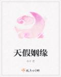 小说：天假姻缘，作者：吕卅