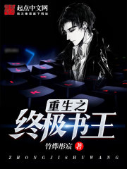 小说：终极书王，作者：竹烨彤宸