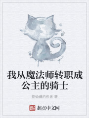 小说：我从魔法师转职成公主的骑士，作者：爱偷懒的作者