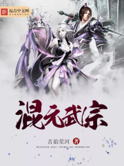 小说：混元武宗，作者：古韵星河