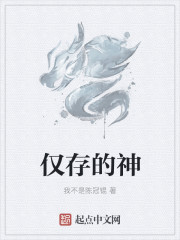 小说：仅存的神，作者：我不是陈冠锟