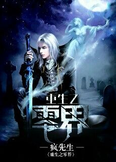 小说：重生之零界，作者：疯先生