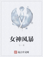 小说：女神风暴，作者：廿一