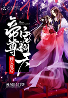 小说：神医凰后：帝尊，宠翻天，作者：鲤鱼跃金门