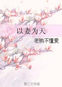 小说：以妻为天，作者：老衲不懂爱