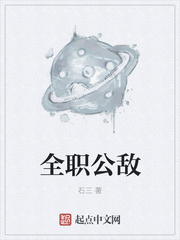 小说：全职公敌，作者：石三