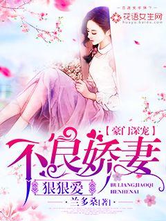 小说：豪门深宠：不良娇妻狠狠爱，作者：兰多桑
