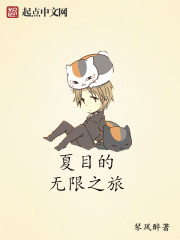 小说：夏目的无限之旅，作者：琴风醉