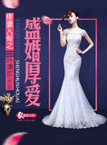 小说：爱妻入骨之盛婚厚爱，作者：叶清欢