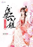 小说：惊世魔妃：废柴二小姐，作者：星月紫