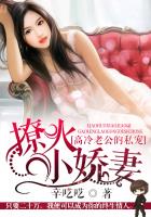 小说：高冷老公的私宠：撩火小娇妻，作者：辛呓呓