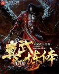 小说：真武炼体系统，作者：画笔武生