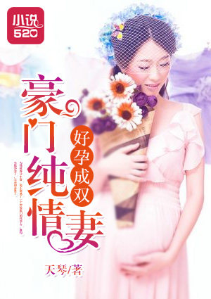小说：好孕成双：豪门纯情妻，作者：天琴